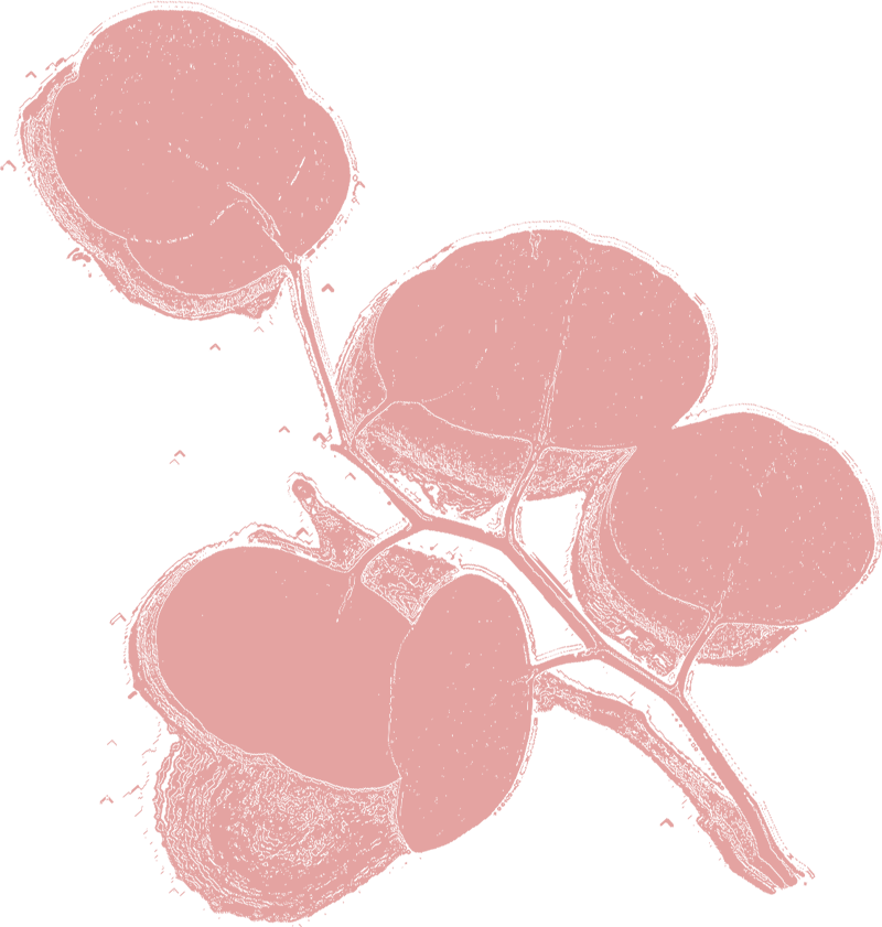 holistic-healer-pink